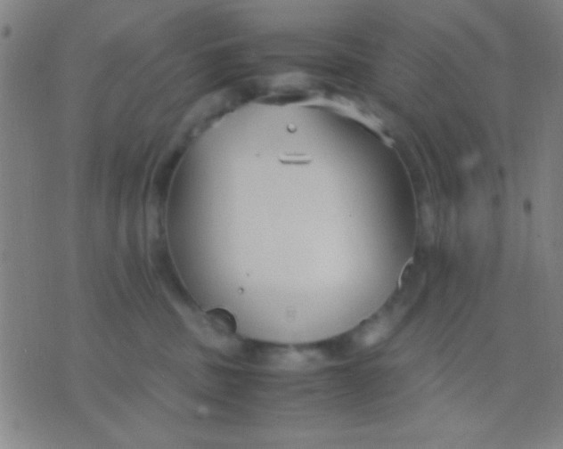 X0000075840379200610061853