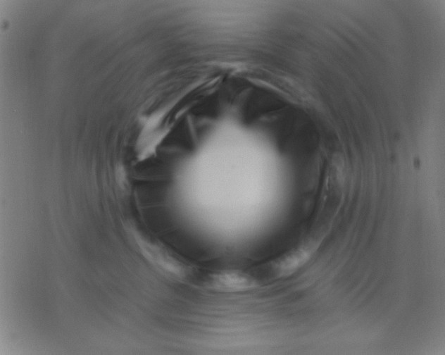 X0000075840380200610061853