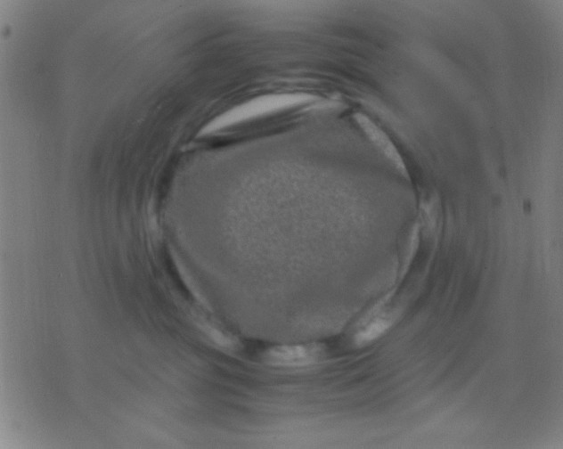 X0000075840381200610061853