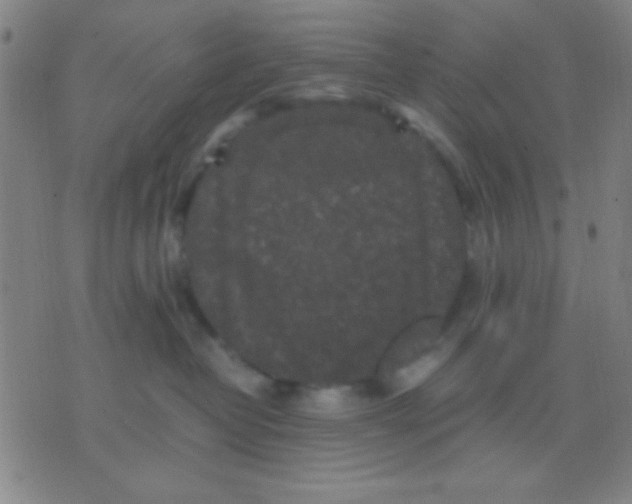 X0000075840382200610061853