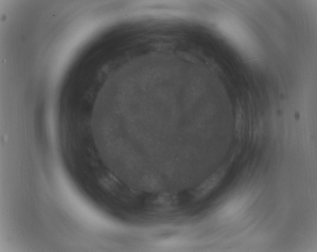 X0000075840383200610061853