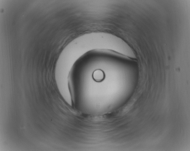 X0000075840384200610061853