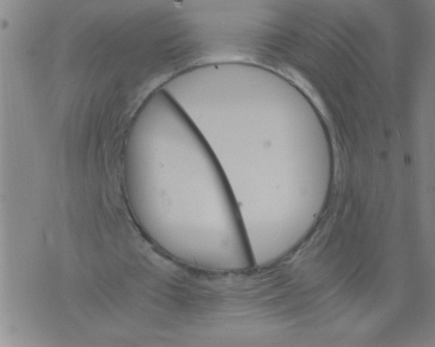 X0000075840385200610061852