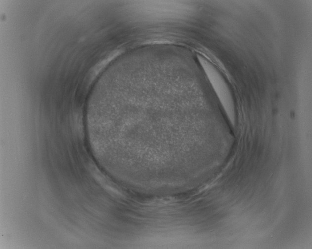 X0000075840386200610061852