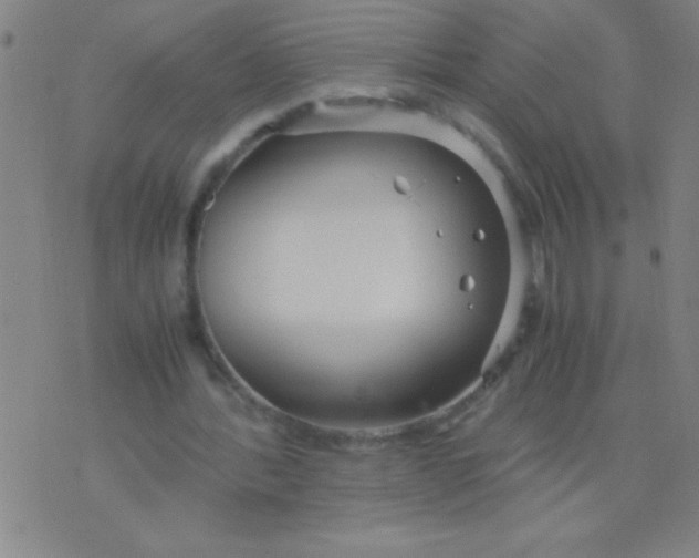 X0000075840388200610061852