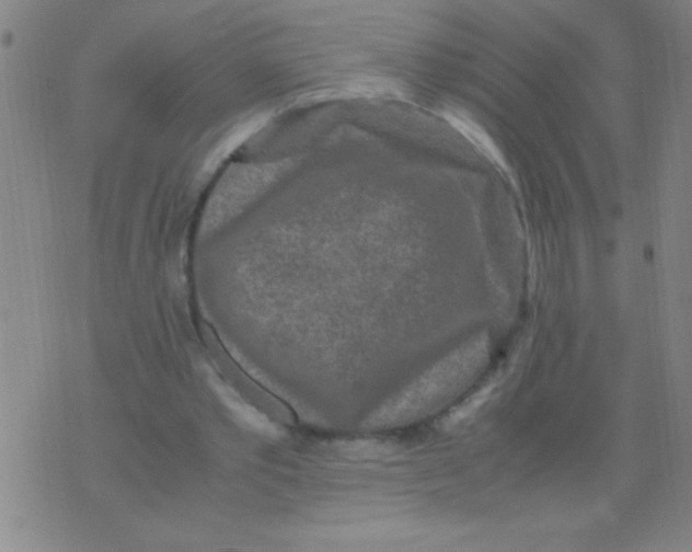 X0000075840389200610061852