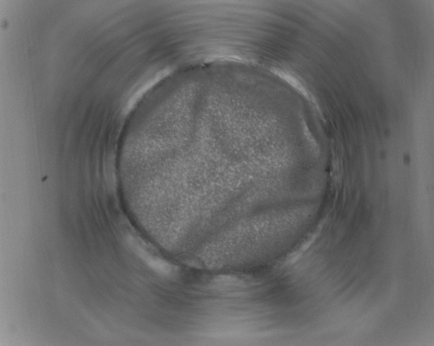 X0000075840390200610061852