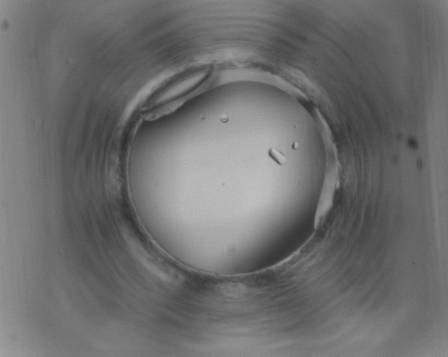 X0000075840392200610061852