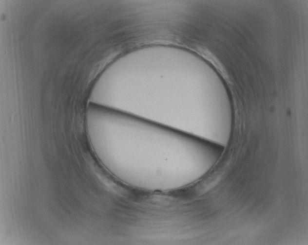 X0000075840393200610061852