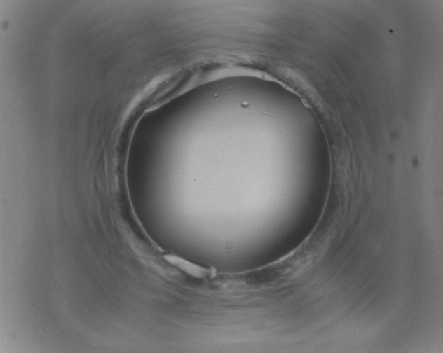 X0000075840395200610061852