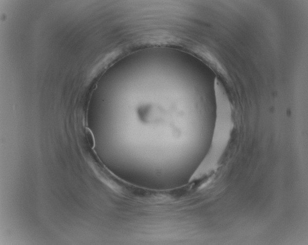 X0000075840397200610061852