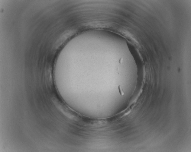 X0000075840398200610061852