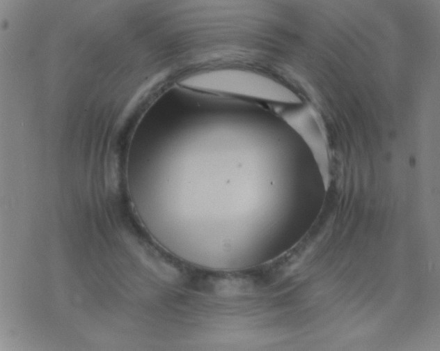 X0000075840400200610061852