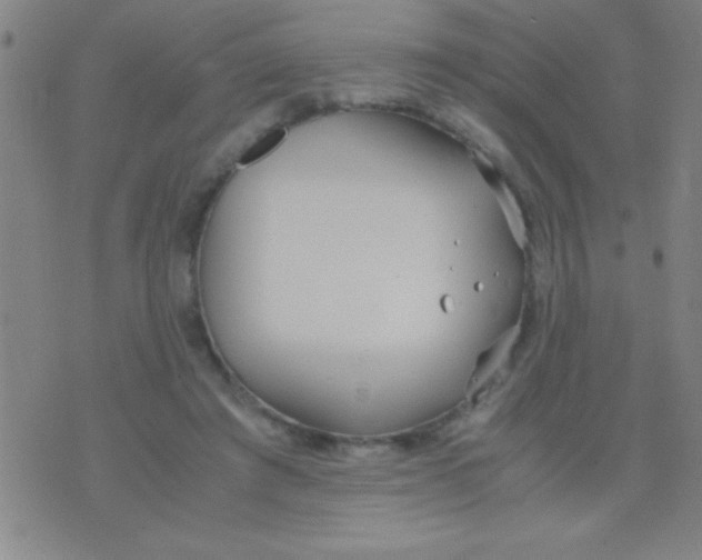 X0000075840401200610061852