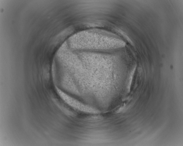 X0000075840402200610061852