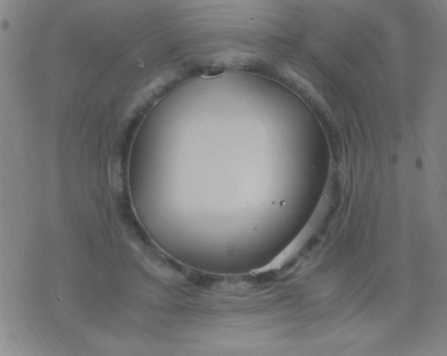 X0000075840403200610061852