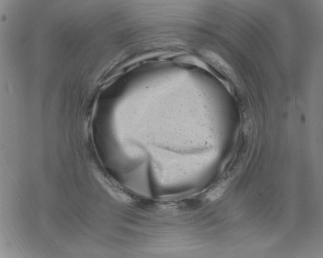 X0000075840405200610061852