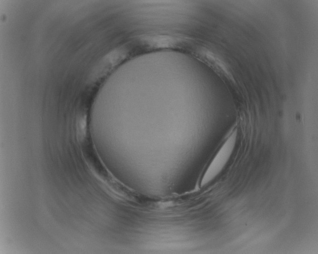 X0000075840406200610061852