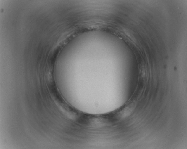 X0000075840408200610061852