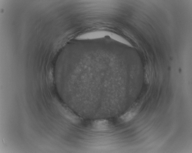 X0000075840410200610061852