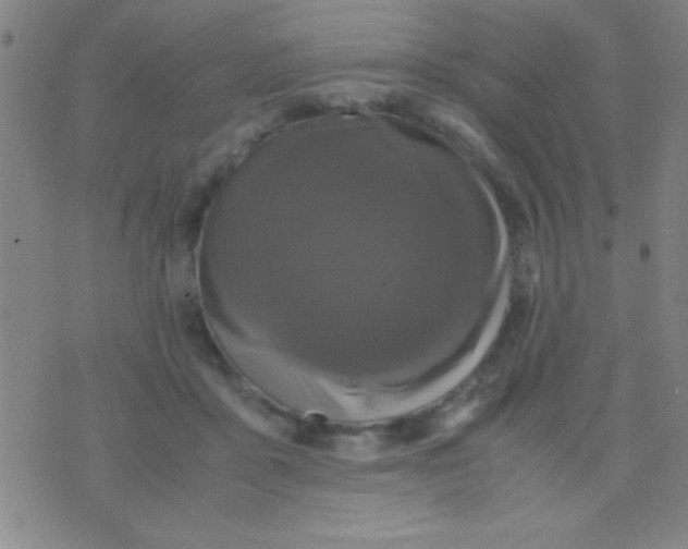 X0000075840411200610061852