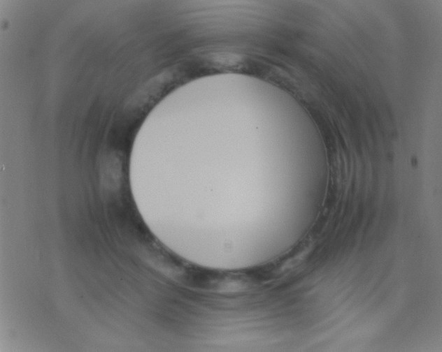 X0000075840412200610061852