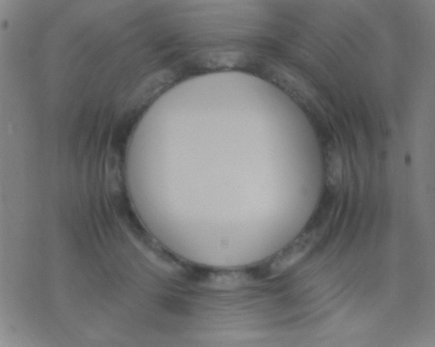 X0000075840414200610061852