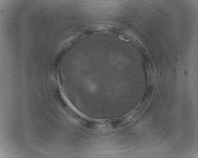 X0000075840415200610061852