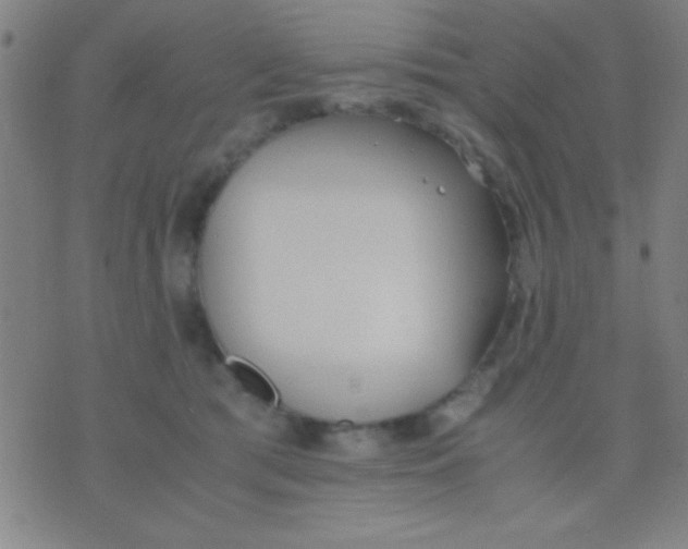 X0000075840417200610061852