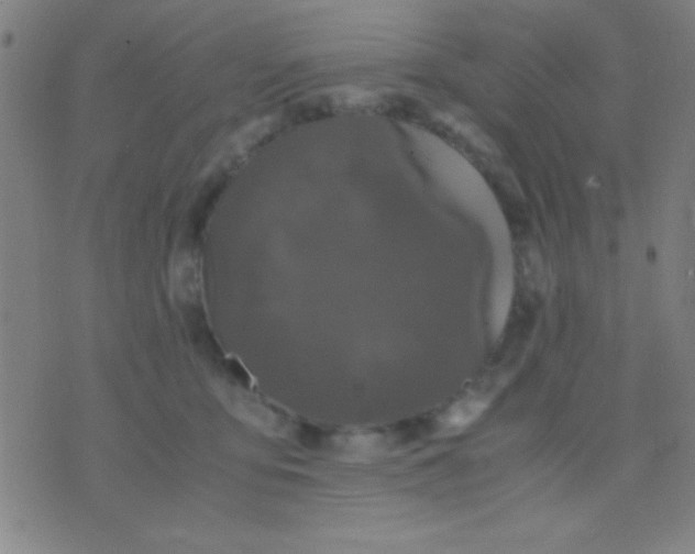 X0000075840419200610061852