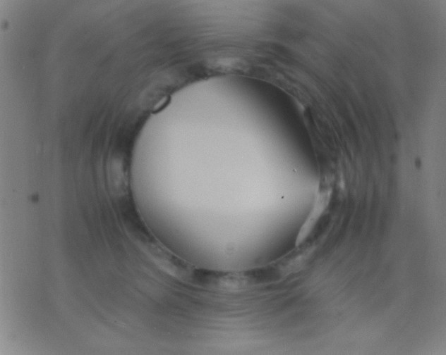 X0000075840420200610061852