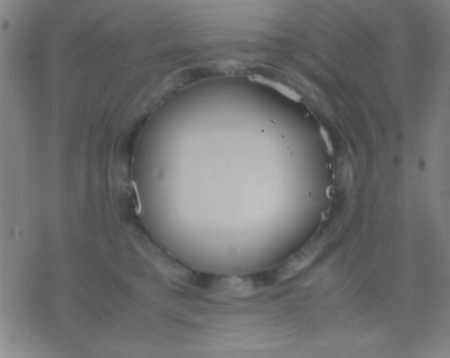 X0000075840421200610061852