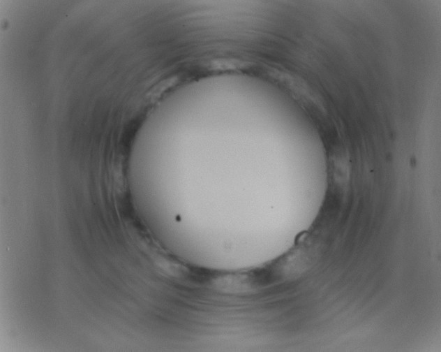 X0000075840422200610061852