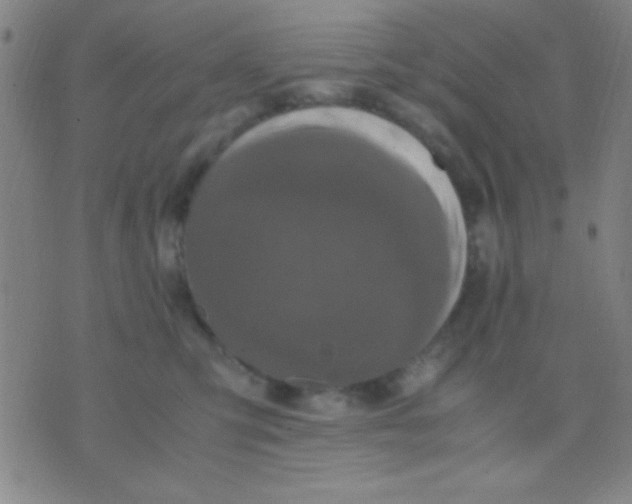 X0000075840423200610061852