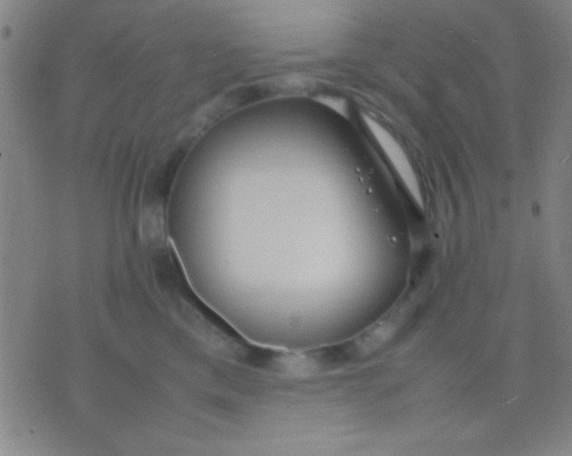 X0000075840425200610061852