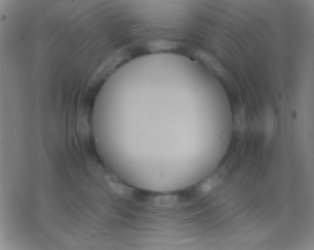 X0000075840426200610061852