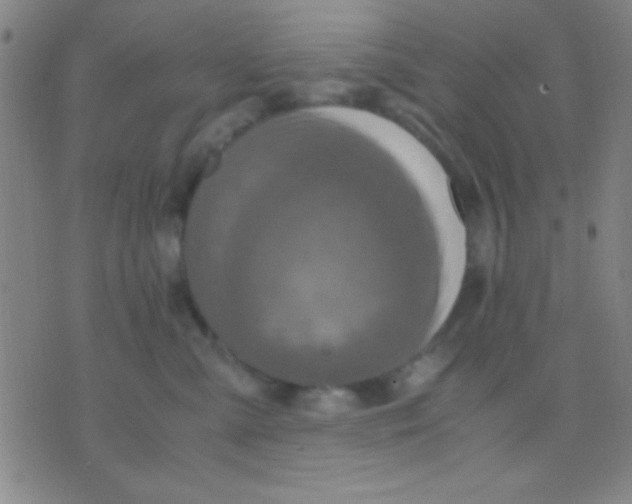 X0000075840427200610061852