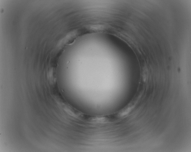 X0000075840428200610061852