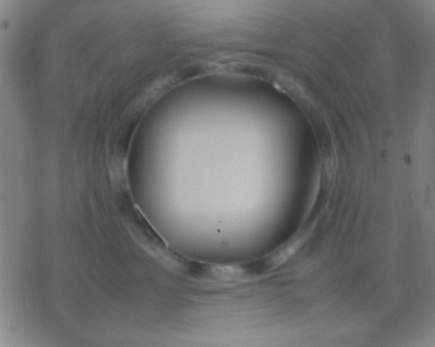 X0000075840429200610061852