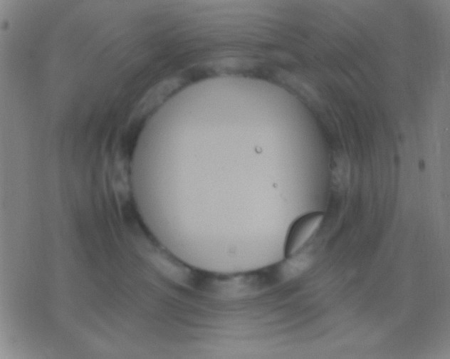 X0000075840430200610061852