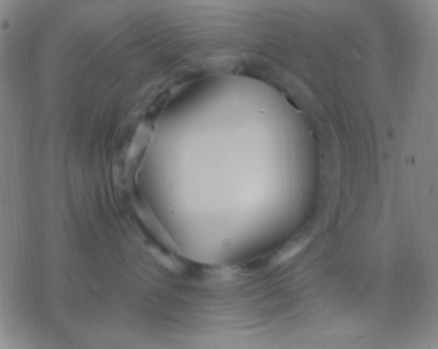 X0000075840432200610061852