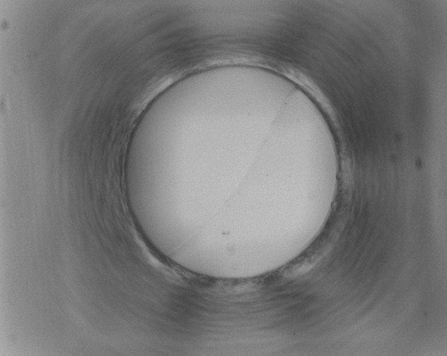 X0000075840433200610061851