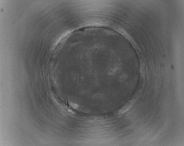 X0000075840434200610061851