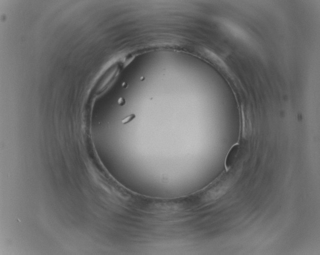 X0000075840435200610061851