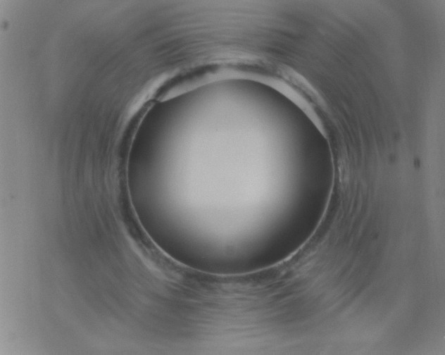 X0000075840436200610061851