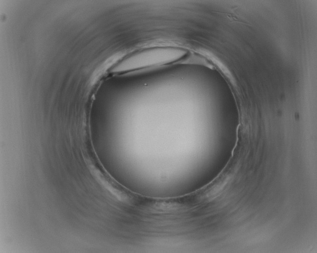 X0000075840437200610061851