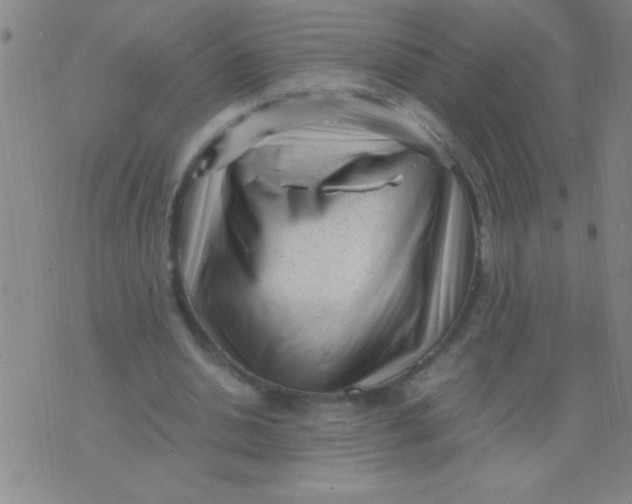 X0000075840438200610061851