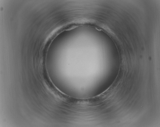 X0000075840440200610061851