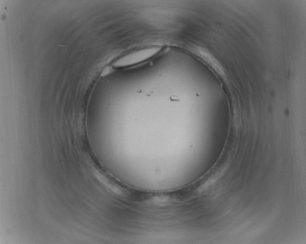 X0000075840441200610061851