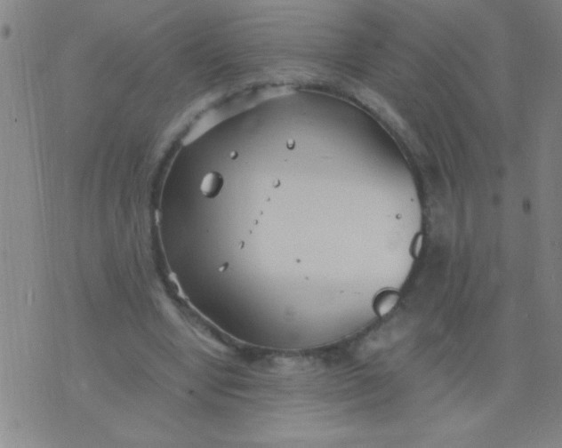 X0000075840442200610061851